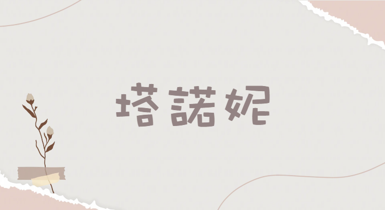 台北市西湖商圈