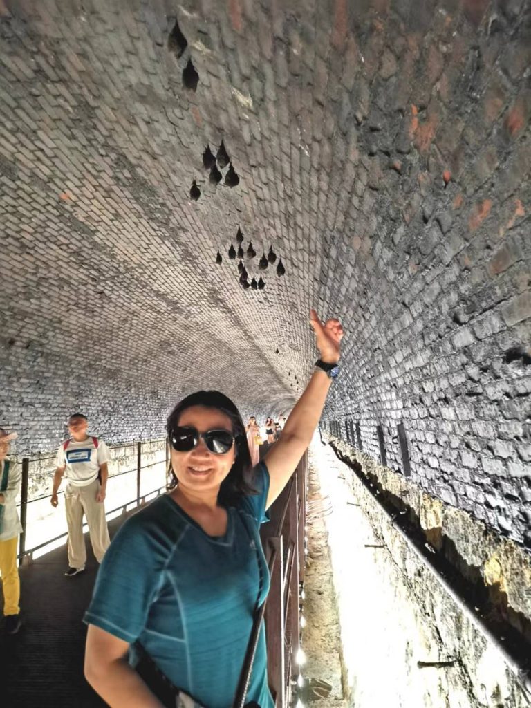 台北市西湖商圈